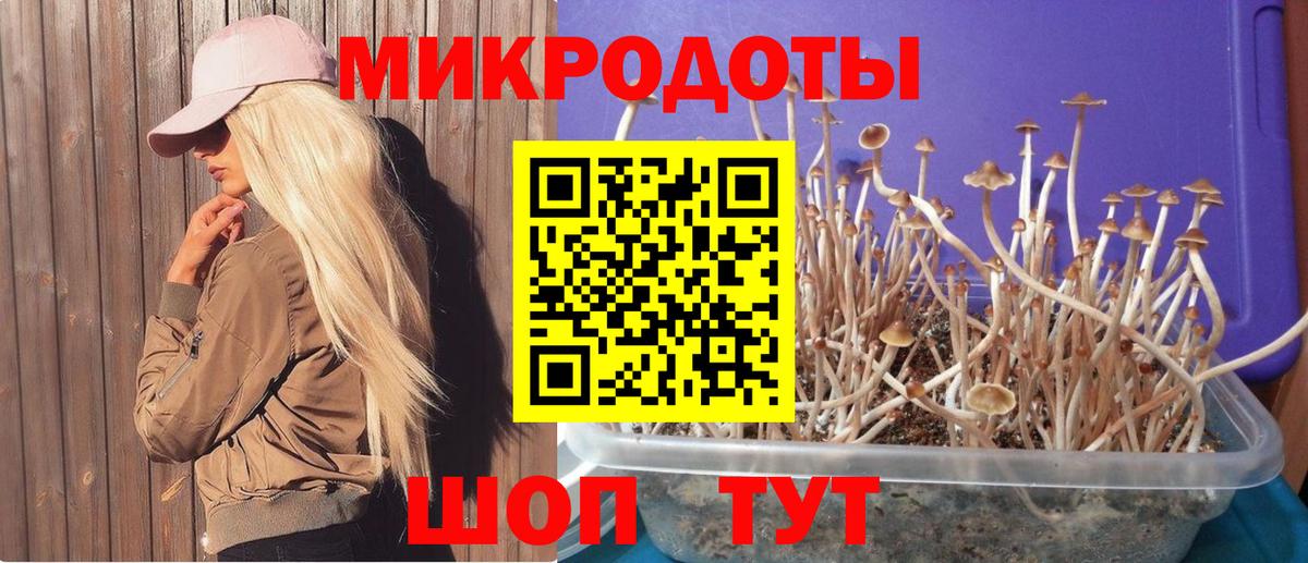 Галлюциногенные грибы мухоморы Петрозаводск